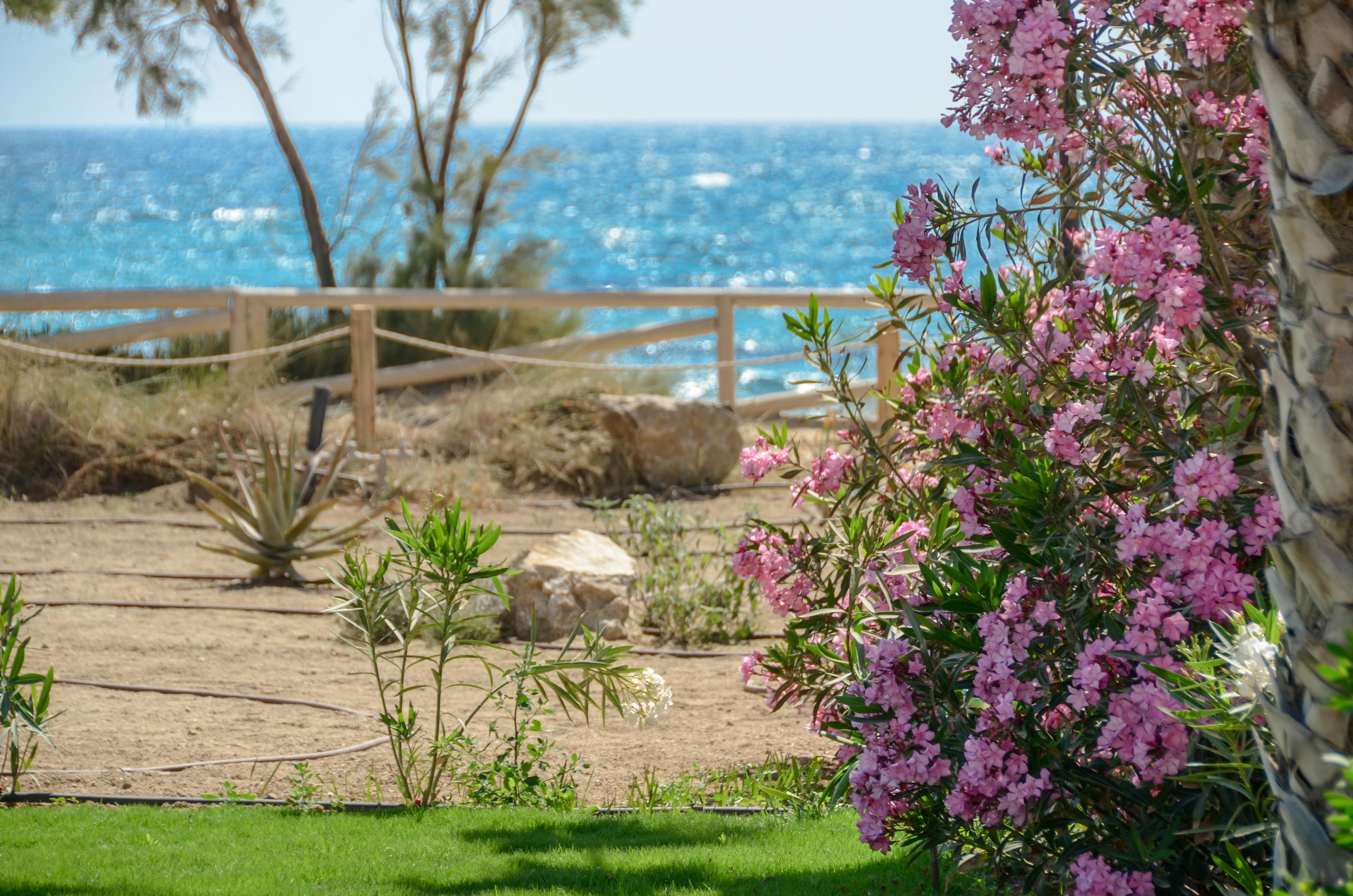 Glaronissi Beach Hotel Maragkas Exterior foto